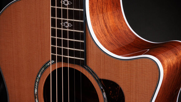 elektroakustisk gitarr Taylor 514ce Next Generation elektroakustisk gitarr - 6
