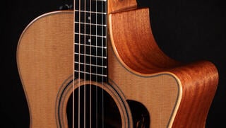 elektroakustisk gitarr Taylor 314ce Studio elektroakustisk gitarr - 4