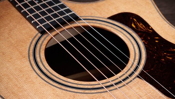 elektroakustisk gitarr Taylor 314ce Studio elektroakustisk gitarr - 6