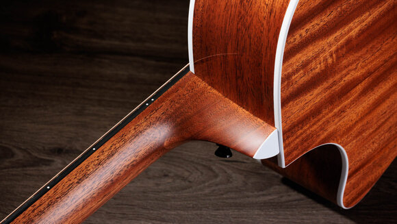 elektroakustisk gitarr Taylor 514ce Next Generation elektroakustisk gitarr - 10