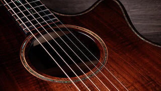 electro-acoustic guitar Taylor Builders Edition K24ce Next Generation electro-acoustic guitar - 6