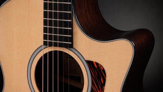 elektroakustisk gitarr Taylor 414ce Next Generation elektroakustisk gitarr - 3