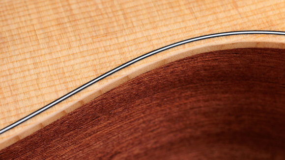 Jumbo Guitar Taylor GS Mini Jumbo Guitar - 9