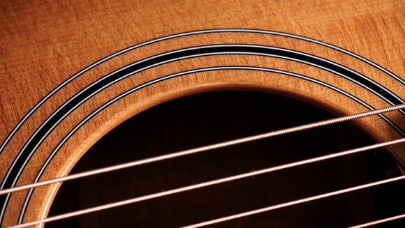 elektroakustisk gitarr Taylor 314ce Studio elektroakustisk gitarr - 4