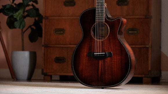 elektroakustisk gitarr Taylor Builders Edition K24ce Next Generation elektroakustisk gitarr - 16
