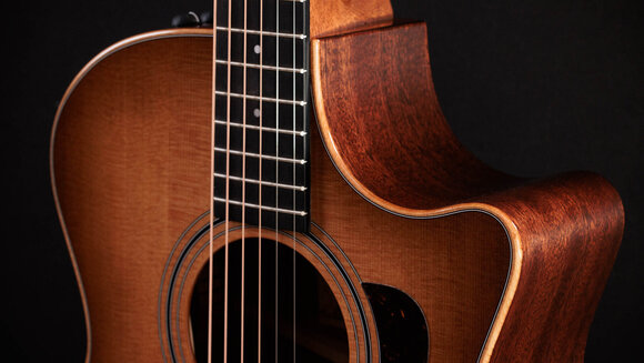 elektroakustisk gitarr Taylor 314ce Studio elektroakustisk gitarr - 5