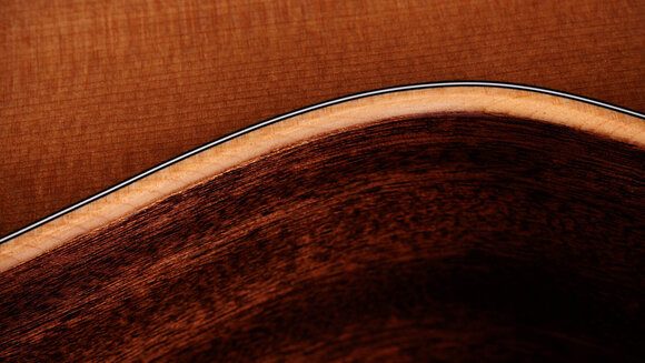elektroakustisk gitarr Taylor 314ce Studio elektroakustisk gitarr - 10