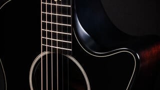 elektroakustisk gitarr Taylor Builders Edition 324ce Next Generation elektroakustisk gitarr - 5