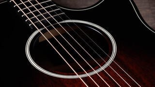 elektroakustisk gitarr Taylor Builders Edition 324ce Next Generation elektroakustisk gitarr - 6
