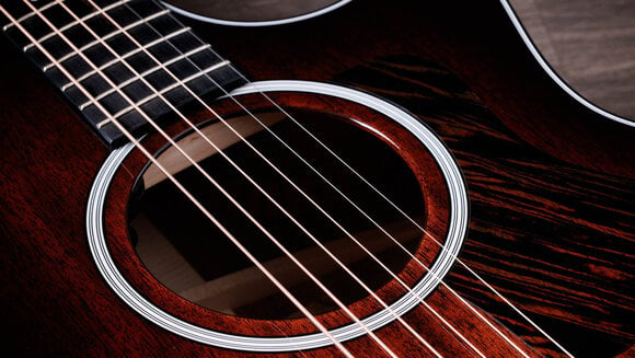 elektroakustisk gitarr Taylor 324ce Next Generation elektroakustisk gitarr - 5
