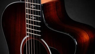 elektroakustisk gitarr Taylor 224ce-K DLX elektroakustisk gitarr - 3