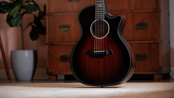 elektroakustisk gitarr Taylor Builders Edition 324ce Next Generation elektroakustisk gitarr - 16