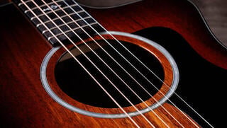 elektroakustisk gitarr Taylor 224ce-K DLX elektroakustisk gitarr - 4