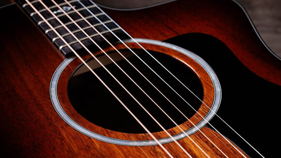 elektroakustisk gitarr Taylor 224ce-K DLX elektroakustisk gitarr - 5