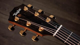 elektroakustisk gitarr Taylor 224ce-K DLX elektroakustisk gitarr - 6