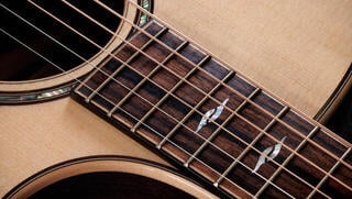 elektroakustisk gitarr Taylor 814ce Next Generation elektroakustisk gitarr - 2
