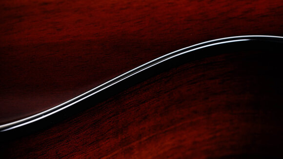 elektroakustisk gitarr Taylor 224ce-K DLX elektroakustisk gitarr - 9