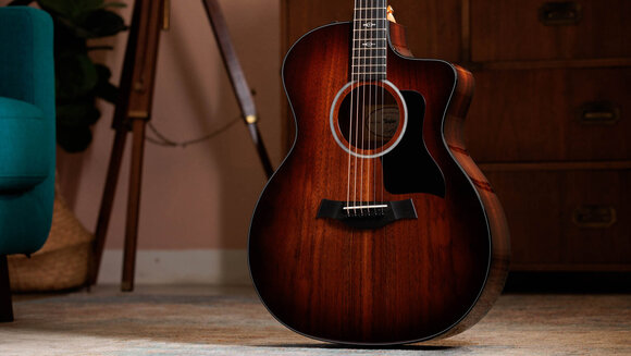 elektroakustisk gitarr Taylor 224ce-K DLX elektroakustisk gitarr - 13