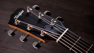elektroakustisk gitarr Taylor 214ce Plus elektroakustisk gitarr - 6