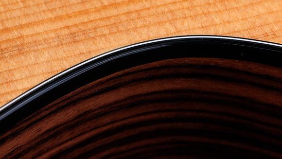 elektroakustisk gitarr Taylor 214ce Plus elektroakustisk gitarr - 9