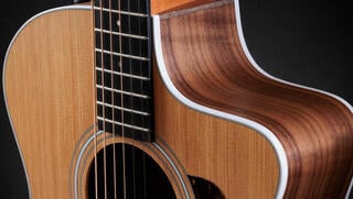 elektroakustisk gitarr Taylor 214ce elektroakustisk gitarr - 3