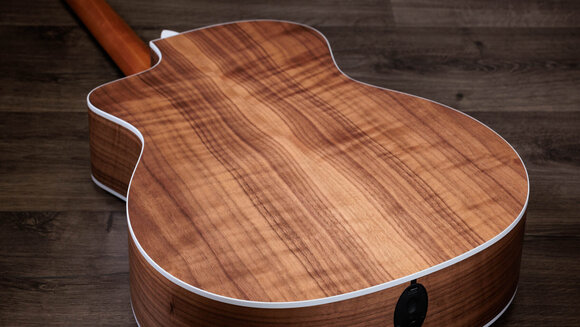 elektroakustisk gitarr Taylor 214ce elektroakustisk gitarr - 9