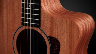 elektroakustisk gitarr Taylor 24ce elektroakustisk gitarr - 3