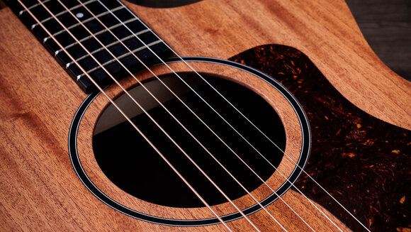 elektroakustisk gitarr Taylor 24ce elektroakustisk gitarr - 5