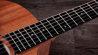 elektroakustisk gitarr Taylor 24ce elektroakustisk gitarr - 5