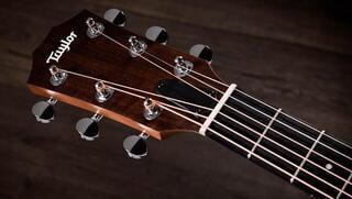 elektroakustisk gitarr Taylor 24ce elektroakustisk gitarr - 6
