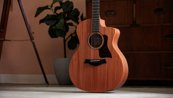 elektroakustisk gitarr Taylor 24ce elektroakustisk gitarr - 11