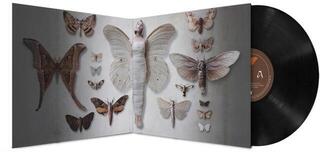 Vinyl Record Aurora - All My Demons Greeting Me As A Friend (10th Anniversary/Deluxe Edition) (LP) - 2