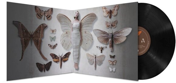 Disque vinyle Aurora - All My Demons Greeting Me As A Friend (10th Anniversary/Deluxe Edition) (LP) - 3