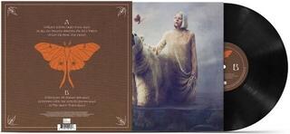 Vinyl Record Aurora - All My Demons Greeting Me As A Friend (10th Anniversary/Deluxe Edition) (LP) - 4