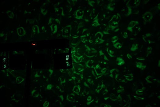 Světelná sestava LWS LED PAR Can Set 2 Světelná sestava - 15