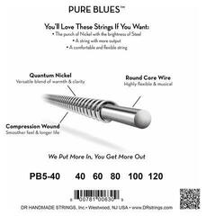 Basģitāras stīgas DR Strings PURE BLUES - Quantum Nickel Bass Strings: 5-String Light 40-120 - 3
