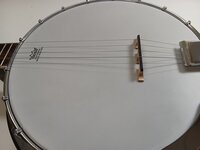 Ortega OBJ150-WB Satin Whiskey Burst Banjo