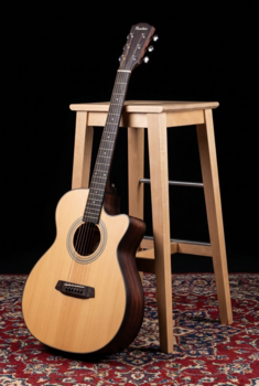 Guitarra electroacustica Pasadena PT-200E Natural Guitarra electroacustica - 13