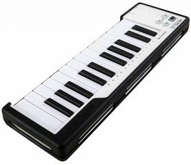 MIDI keyboard Arturia Microlab MIDI keyboard Black - 1