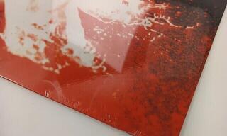 Vinila plate Chevelle - Wonder What's Next (Reissue) (LP) (Tikai izpakots) - 2