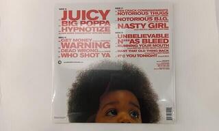 LP deska Notorious B.I.G. - Greatest Hits (2 LP) (Pouze rozbaleno) - 1