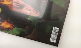 Vinila plate Alice In Chains - Dirt (30th Anniversary) (Reissue) (Yellow Coloured) (2 LP) (Tikai izpakots) - 2