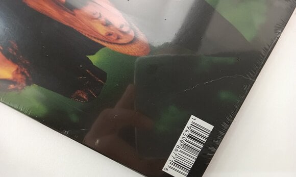 Disco de vinilo Alice In Chains - Dirt (30th Anniversary) (Reissue) (Yellow Coloured) (2 LP) (Recién desempaquetado) - 4