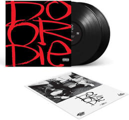 Vinyl Record Do Or Die - Picture This (30th Anniversary Edition) (2 LP) - 1