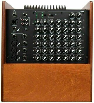 Combo pour instruments acoustiques-électriques Acus One AD-10 Combo pour instruments acoustiques-électriques - 6