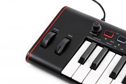 MIDI keyboard IK Multimedia iRig Keys 2 - 4