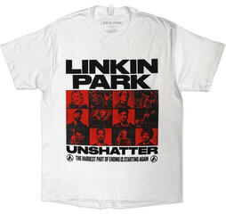 Paita Linkin Park Unshatter Box Photos - 1