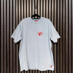 T-krekls Foo Fighters Eagle World Tour (Back Print) - 1