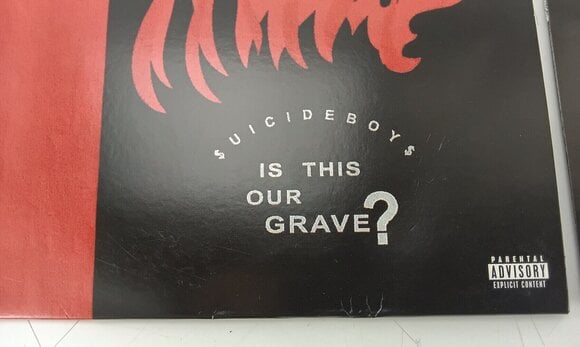 Disco de vinil Suicide Boys - I Want To Die In New Orleans (Red/Black Split) (LP) (Apenas desembalado) - 3