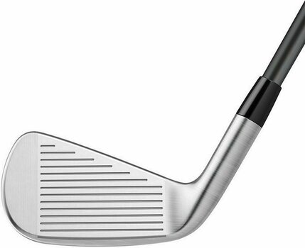 Golfschläger - Eisen TaylorMade P790 UDI Hybrid #2 Graphite X-Stiff Right Hand - 2